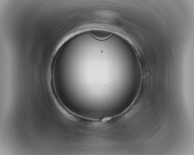 X0000115541523200911131534