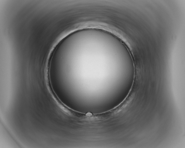 X0000115541525200911131534