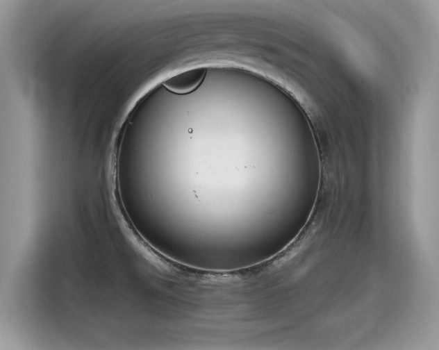 X0000115541526200911131534