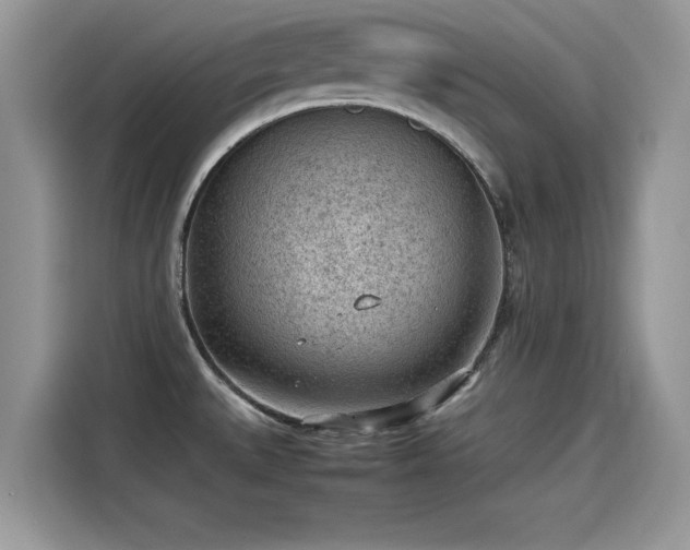 X0000115541527200911131534