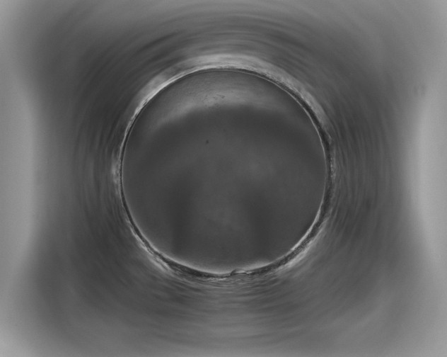 X0000115541529200911131534