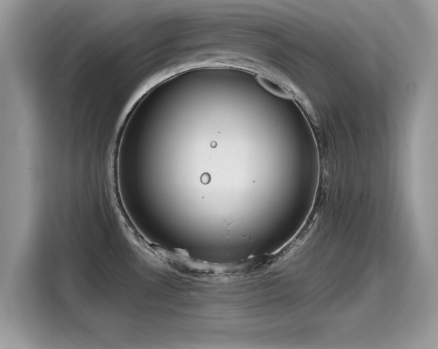 X0000115541530200911131534