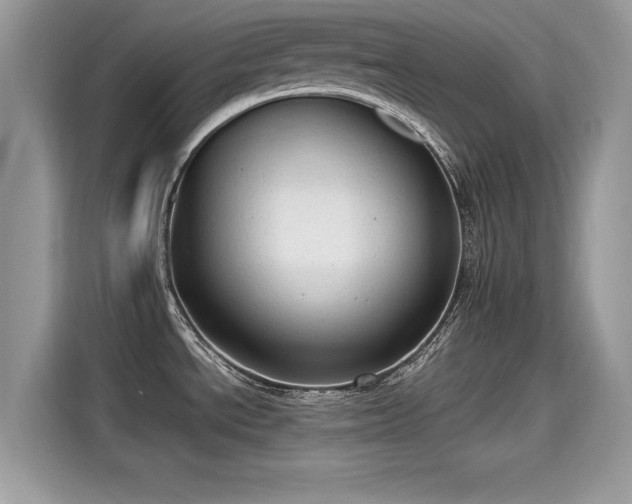 X0000115541534200911131534