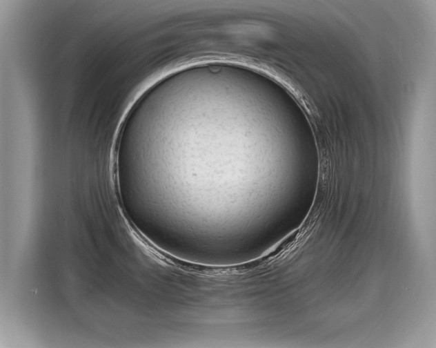 X0000115541535200911131534