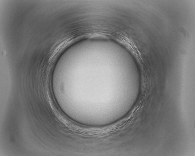 X0000115540001200911201749