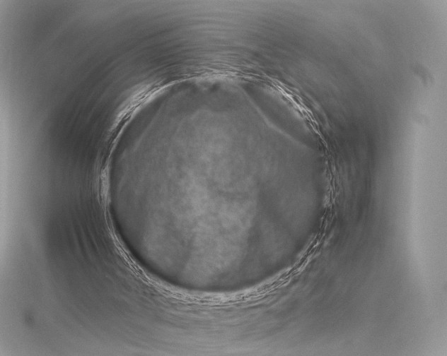 X0000115540002200911201749