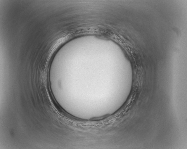 X0000115540003200911201749