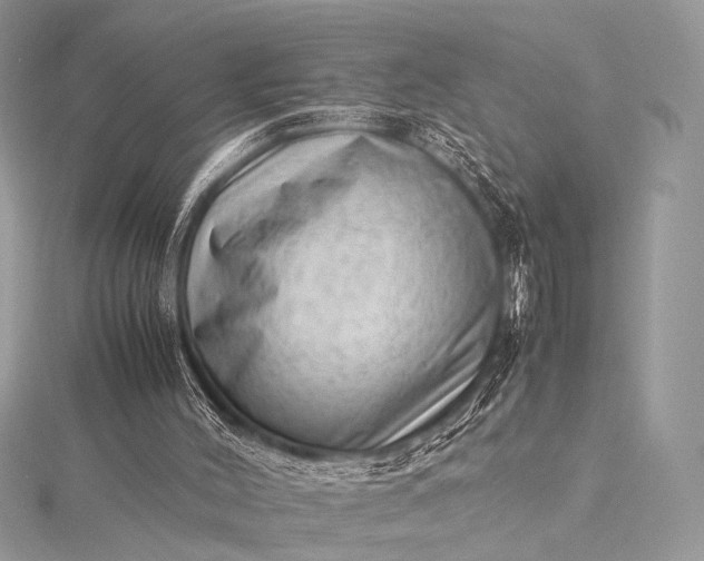 X0000115540004200911201749