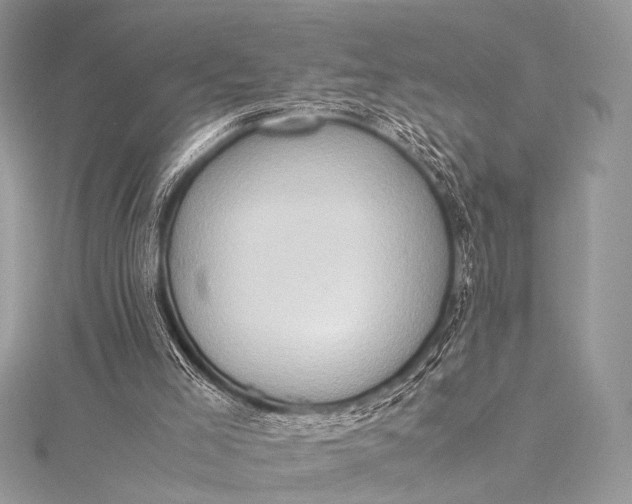 X0000115540005200911201749