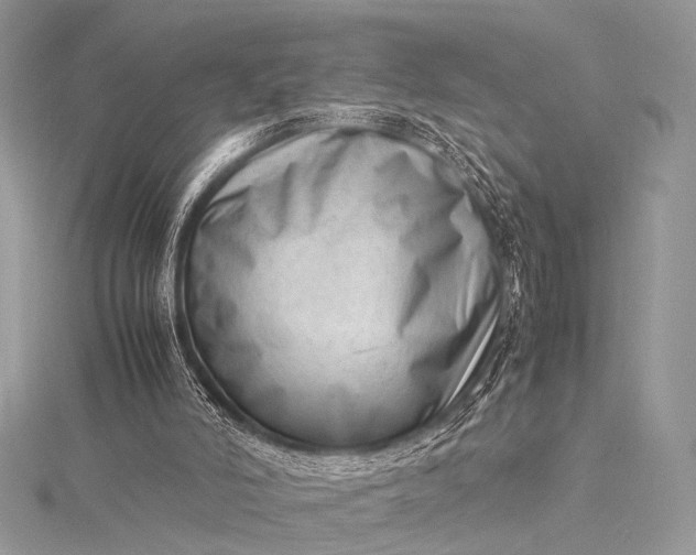 X0000115540006200911201749