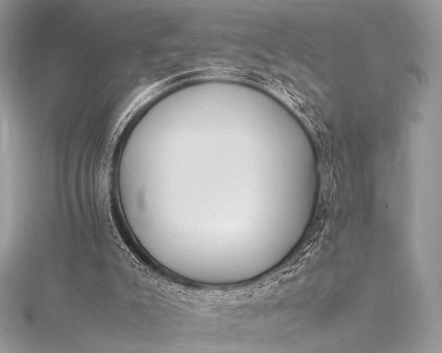 X0000115540007200911201749