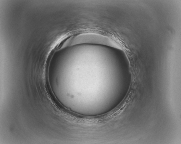 X0000115540008200911201749