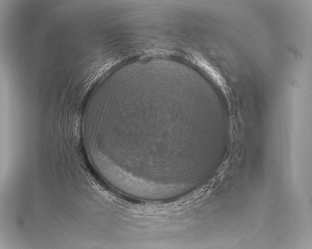 X0000115540009200911201749