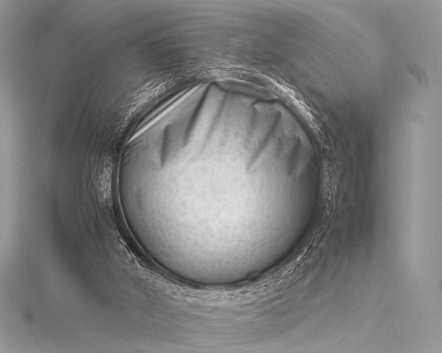 X0000115540010200911201749