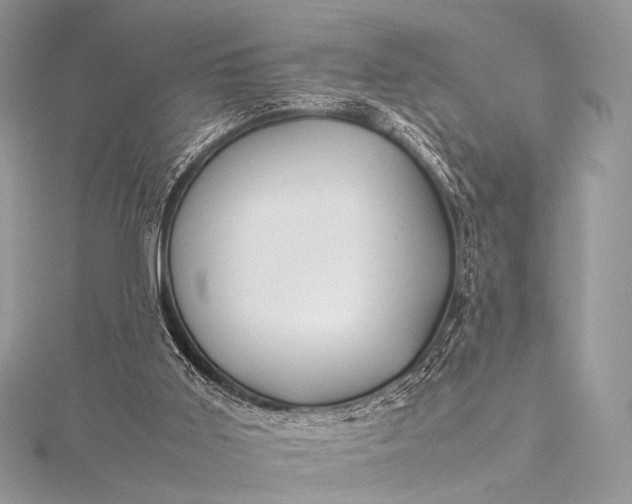 X0000115540011200911201749