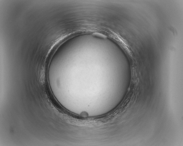 X0000115540012200911201749