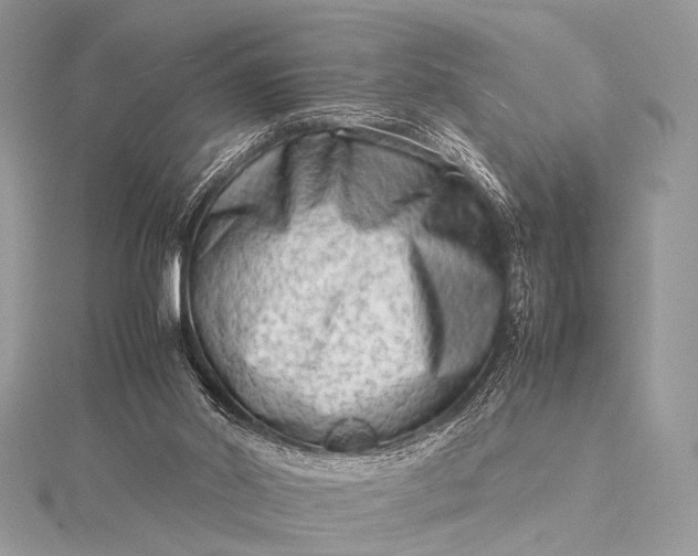 X0000115540014200911201749