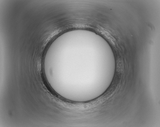 X0000115540015200911201749