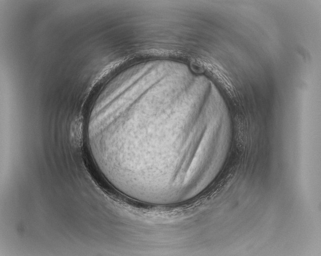 X0000115540016200911201749