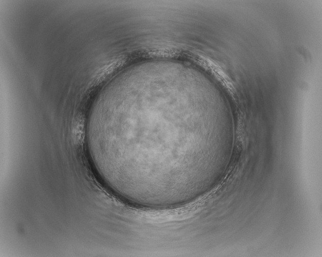 X0000115540017200911201749