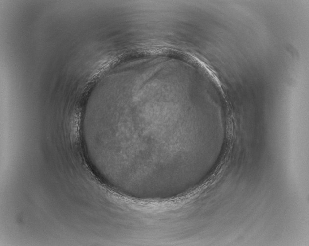 X0000115540018200911201749