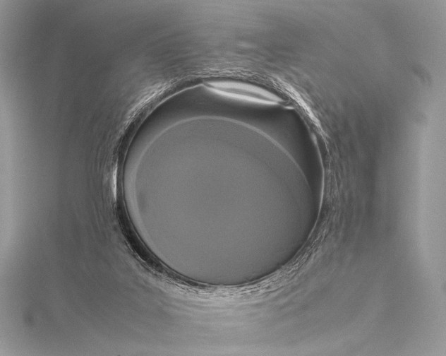 X0000115540019200911201749