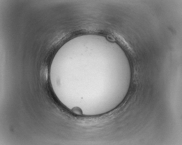 X0000115540021200911201749