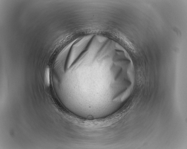 X0000115540022200911201749