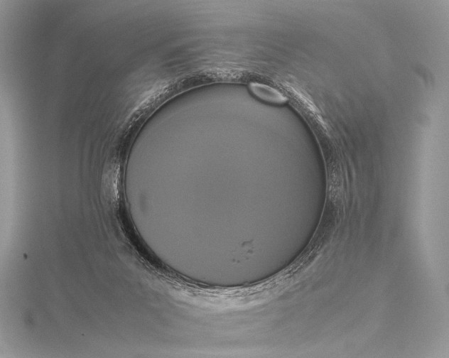 X0000115540023200911201749