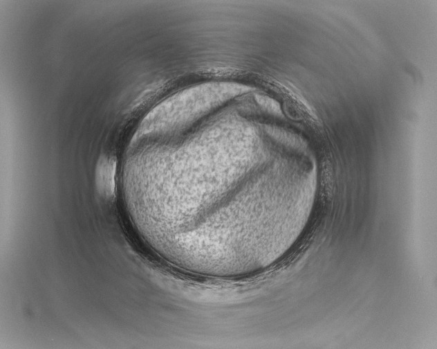 X0000115540024200911201749