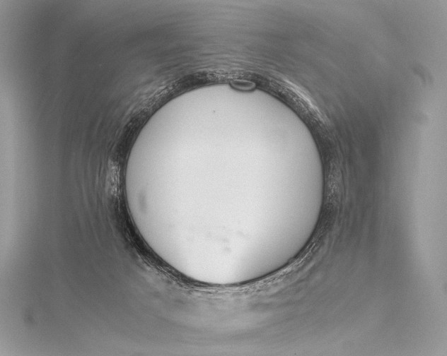 X0000115540025200911201749