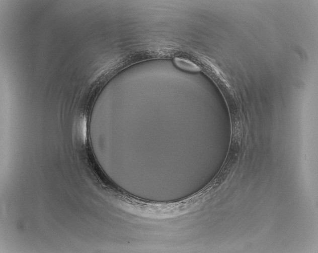 X0000115540027200911201749