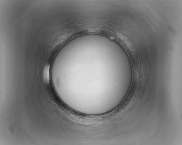 X0000115540028200911201749