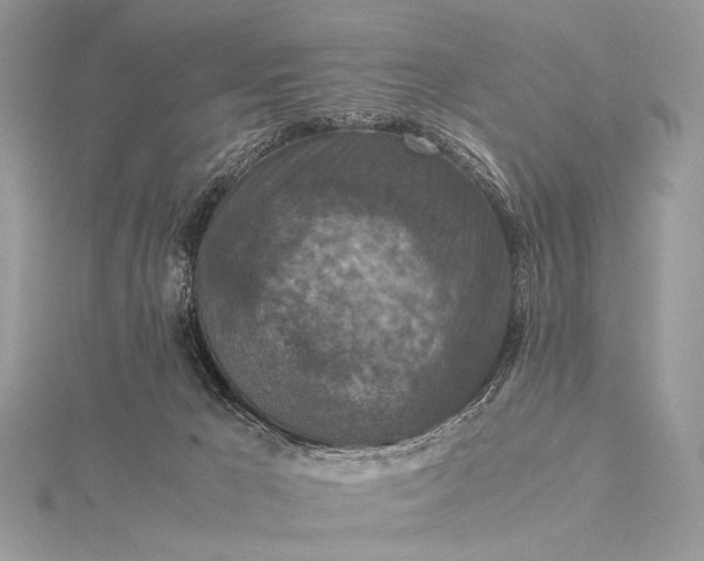 X0000115540029200911201749