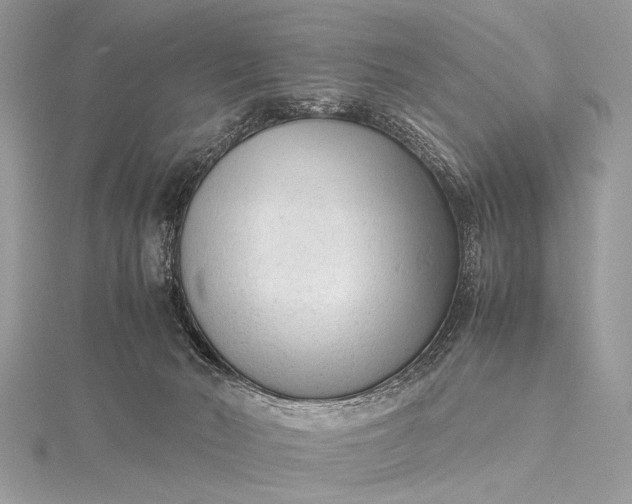 X0000115540030200911201749