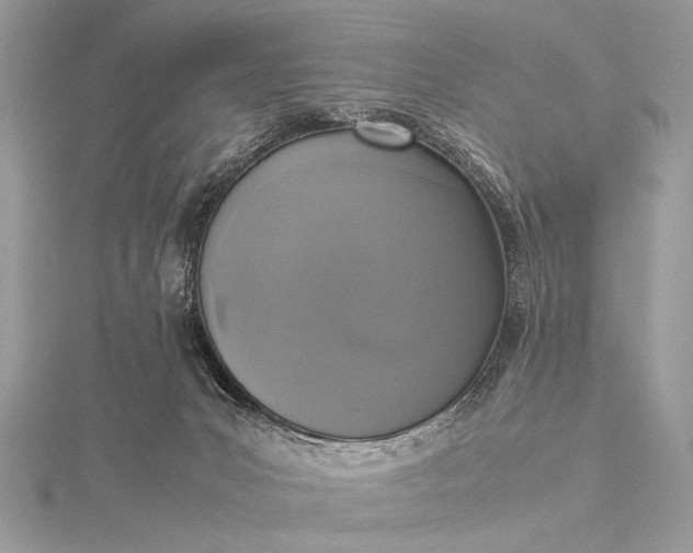 X0000115540031200911201749