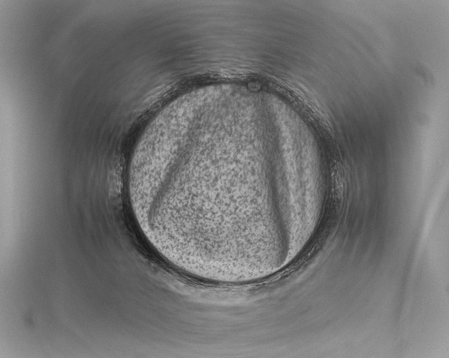 X0000115540032200911201749