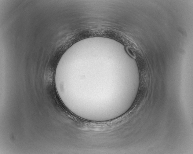 X0000115540033200911201749