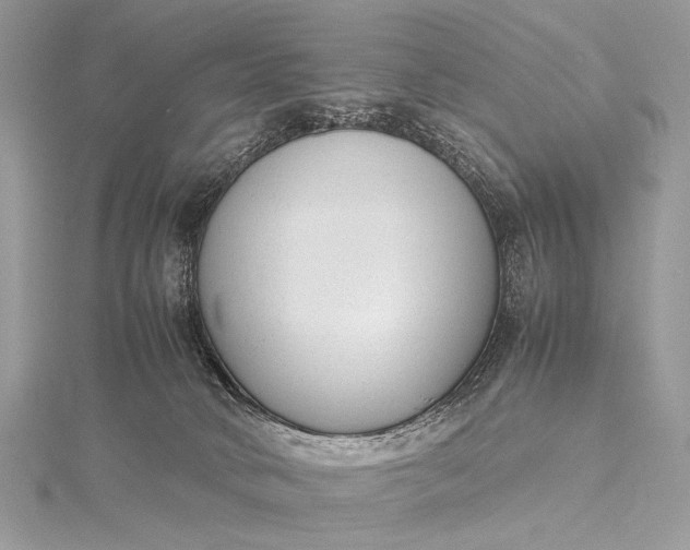 X0000115540034200911201749