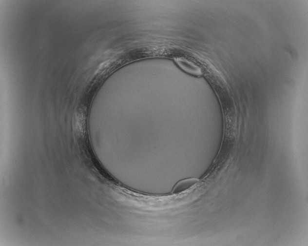 X0000115540035200911201749