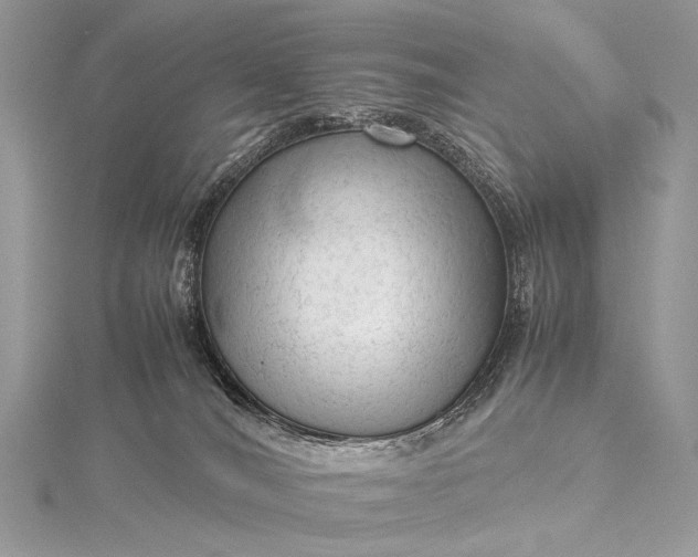 X0000115540036200911201749