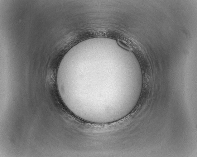 X0000115540037200911201749