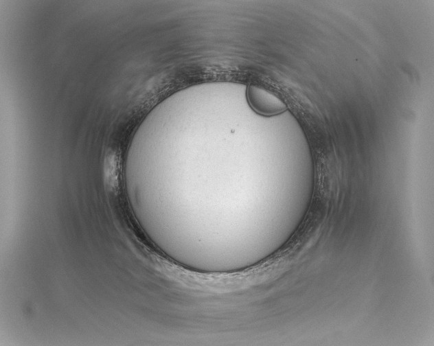 X0000115540038200911201749