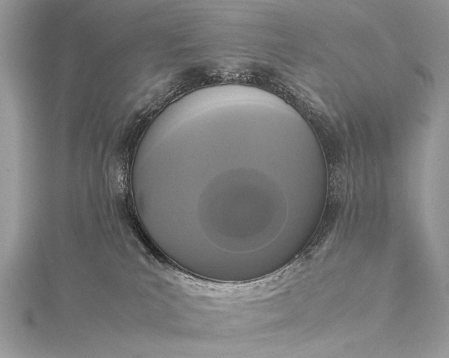 X0000115540039200911201749