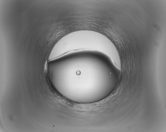 X0000115540041200911201749