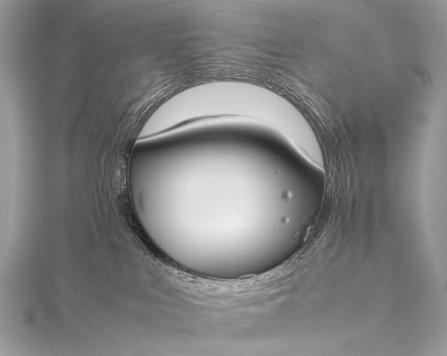 X0000115540043200911201749