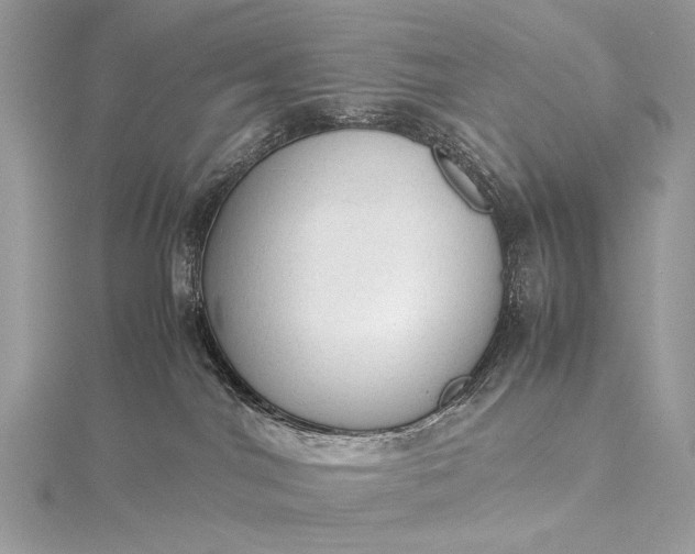 X0000115540044200911201749