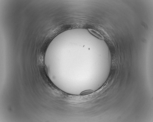 X0000115540045200911201749