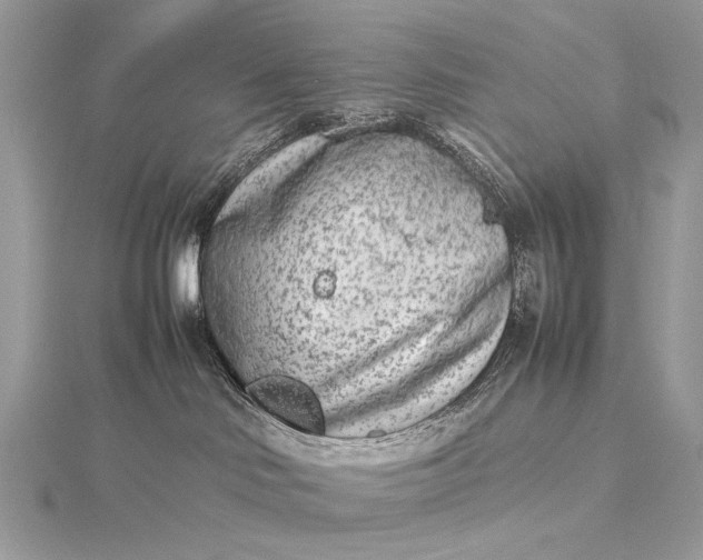 X0000115540046200911201749