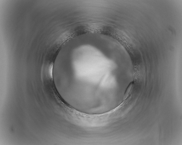 X0000115540047200911201749